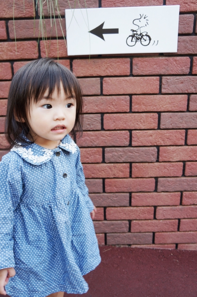 dsc04126a1200