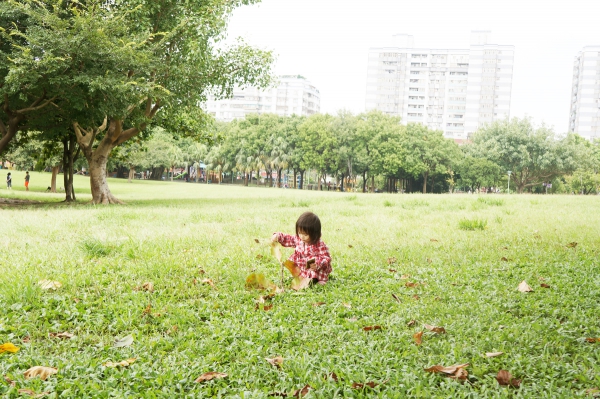 dsc06231a1200