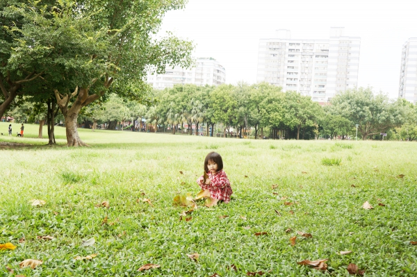 dsc06232a1200