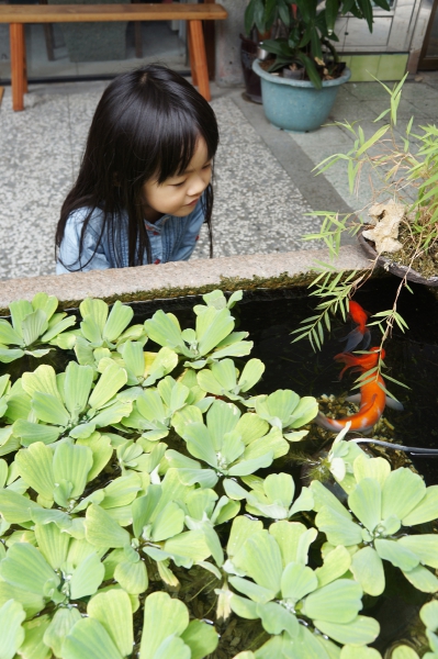 dsc06492a1200
