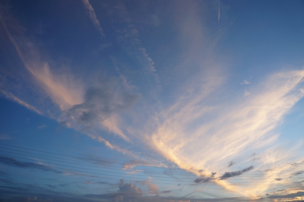 dsc06893a1200