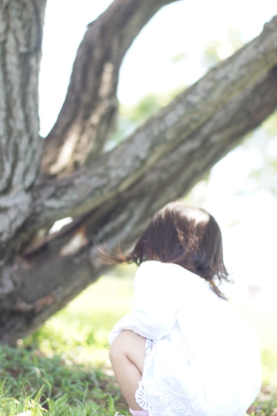 dsc06287a1200