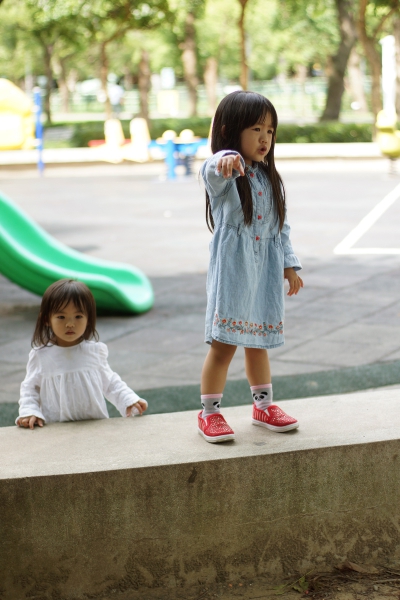 dsc06452a1200