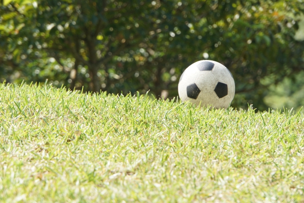 dsc07167a1200