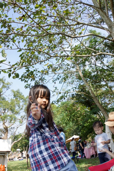 dsc07181a1200