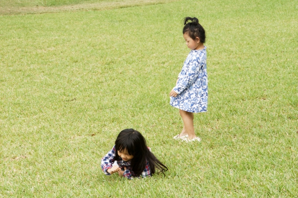 dsc07278a1200