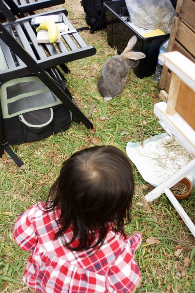 dsc07318a1200
