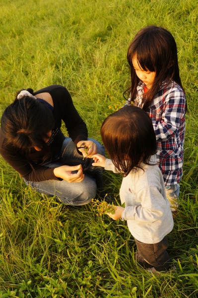 dsc08145a1200