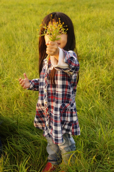 dsc08158a1200
