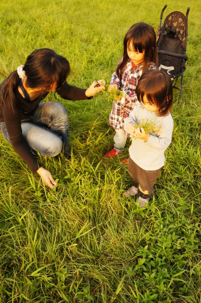 dsc08181a1200