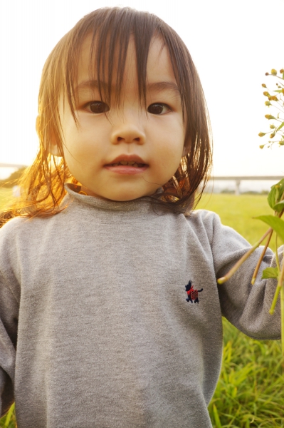dsc08216a1200