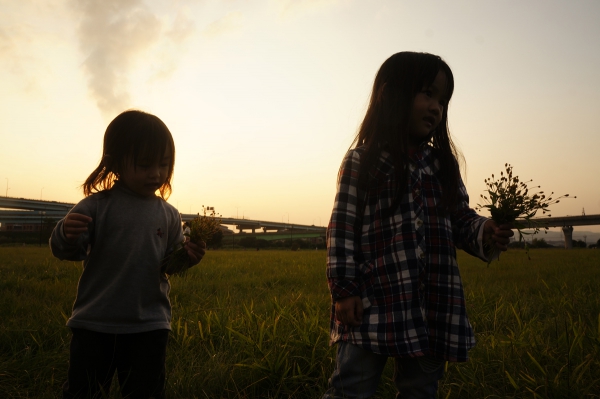 dsc08243a1200