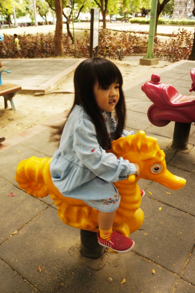 dsc08434a1200
