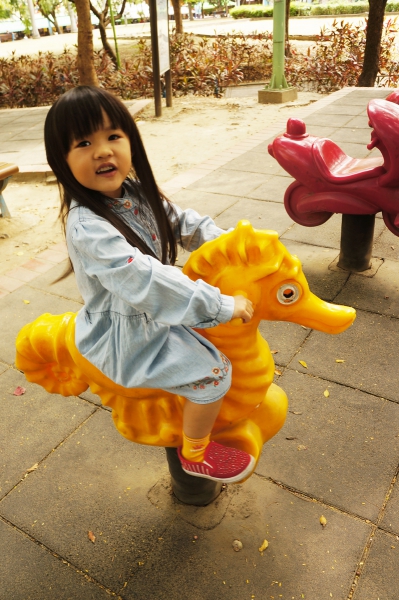 dsc08438a1200