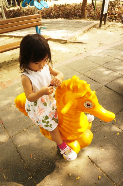 dsc08475a1200