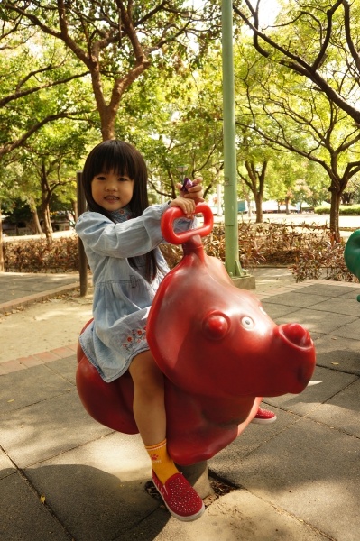 dsc08486a1200