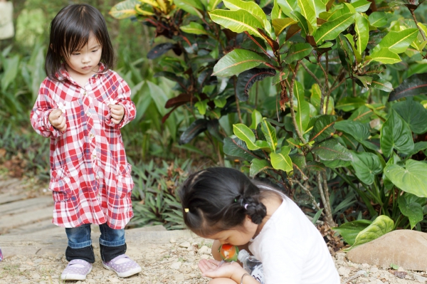 dsc08888a1200