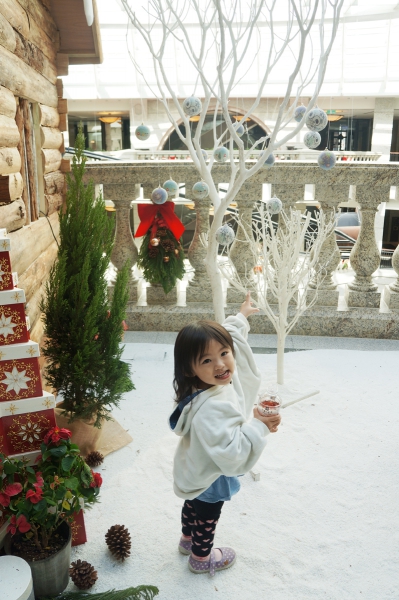 dsc09741a1200