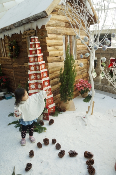 dsc09745a1200