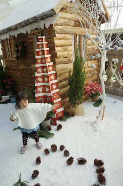dsc09746a1200