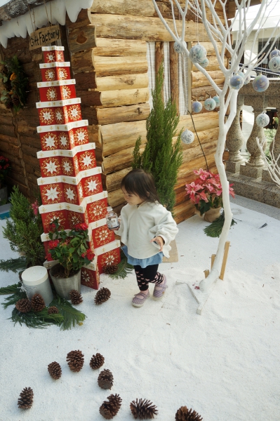 dsc09756a1200