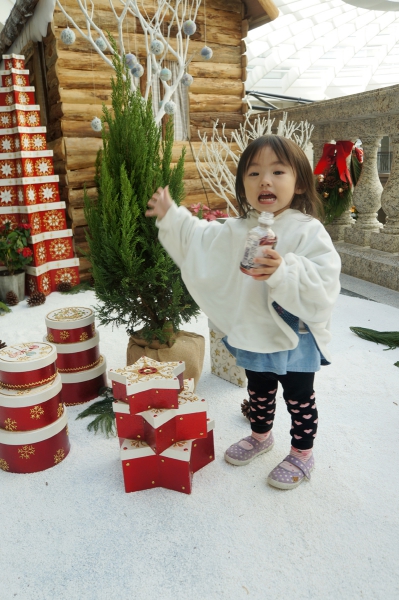 dsc09768a1200
