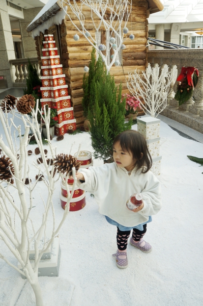 dsc09775a1200