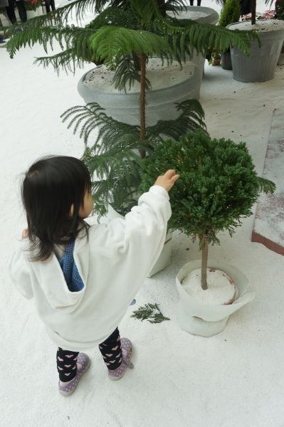 dsc09788a1200