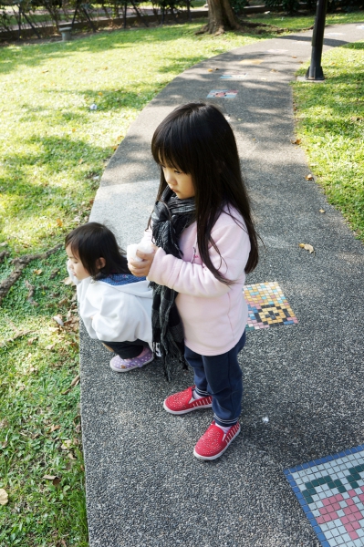 dsc00795a1200