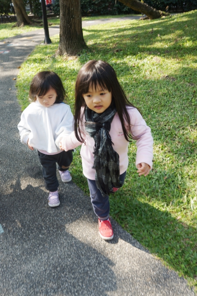 dsc00798a1200