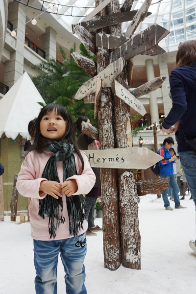 dsc08903a1200