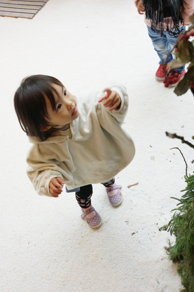 dsc08933a1200