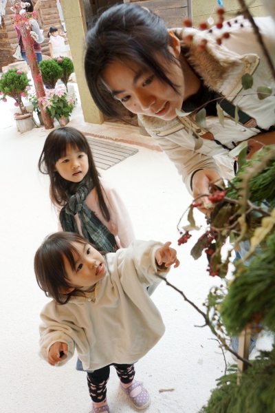 dsc08935a1200