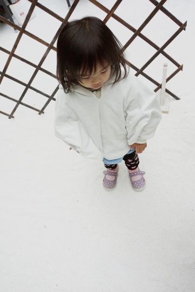 dsc08999a1200