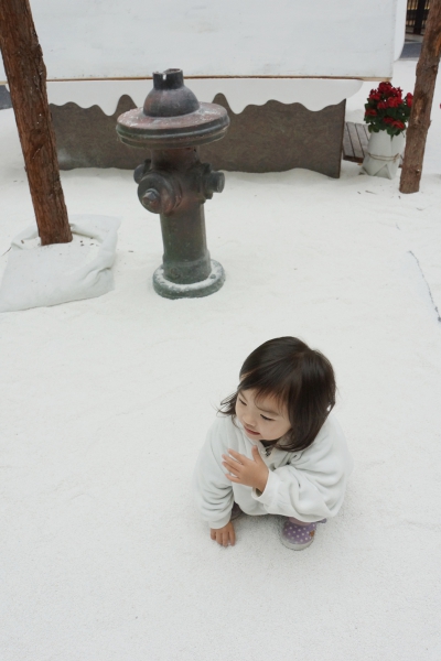 dsc09087a1200