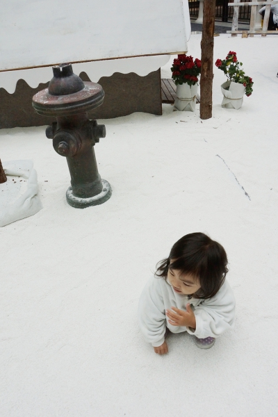dsc09088a1200