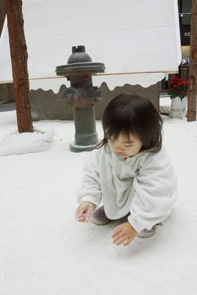 dsc09100a1200