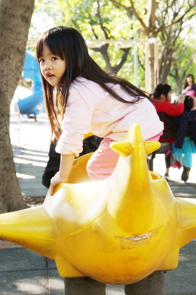 dsc00267a1200