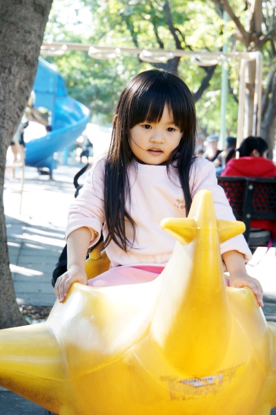 dsc00269a1200
