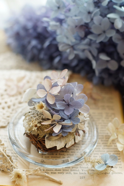 DSC02826a1200