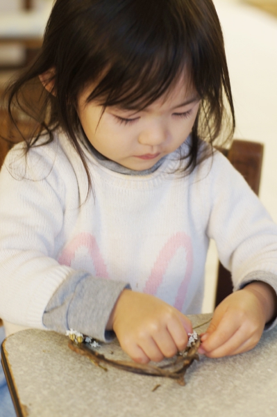 DSC04430a1200