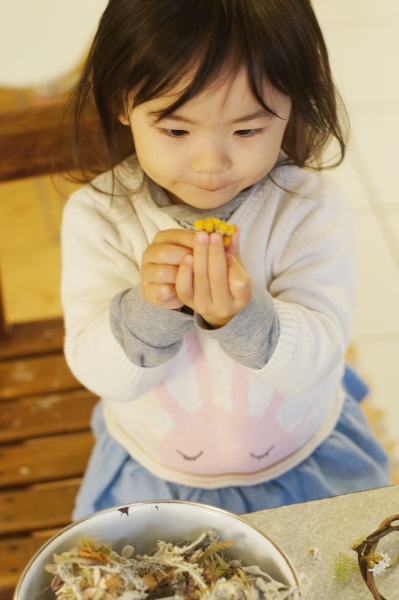 DSC04484a1200