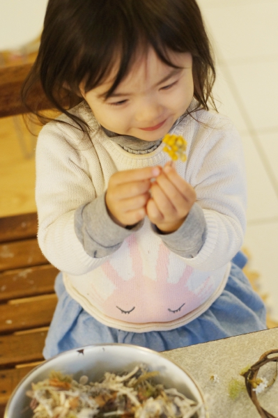 DSC04485a1200