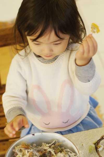 DSC04486a1200