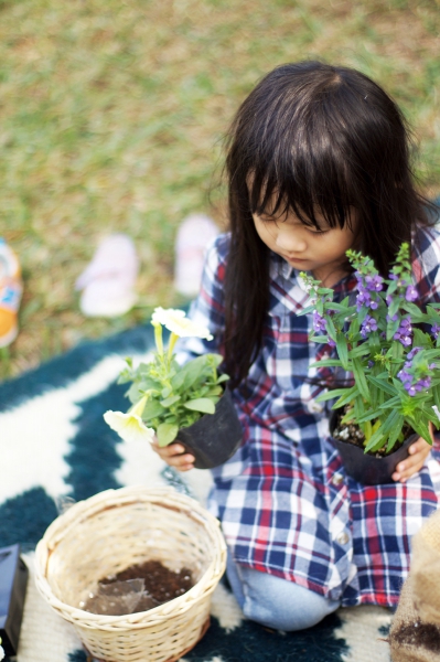 故事書是emily hughes的『the little gardener』.